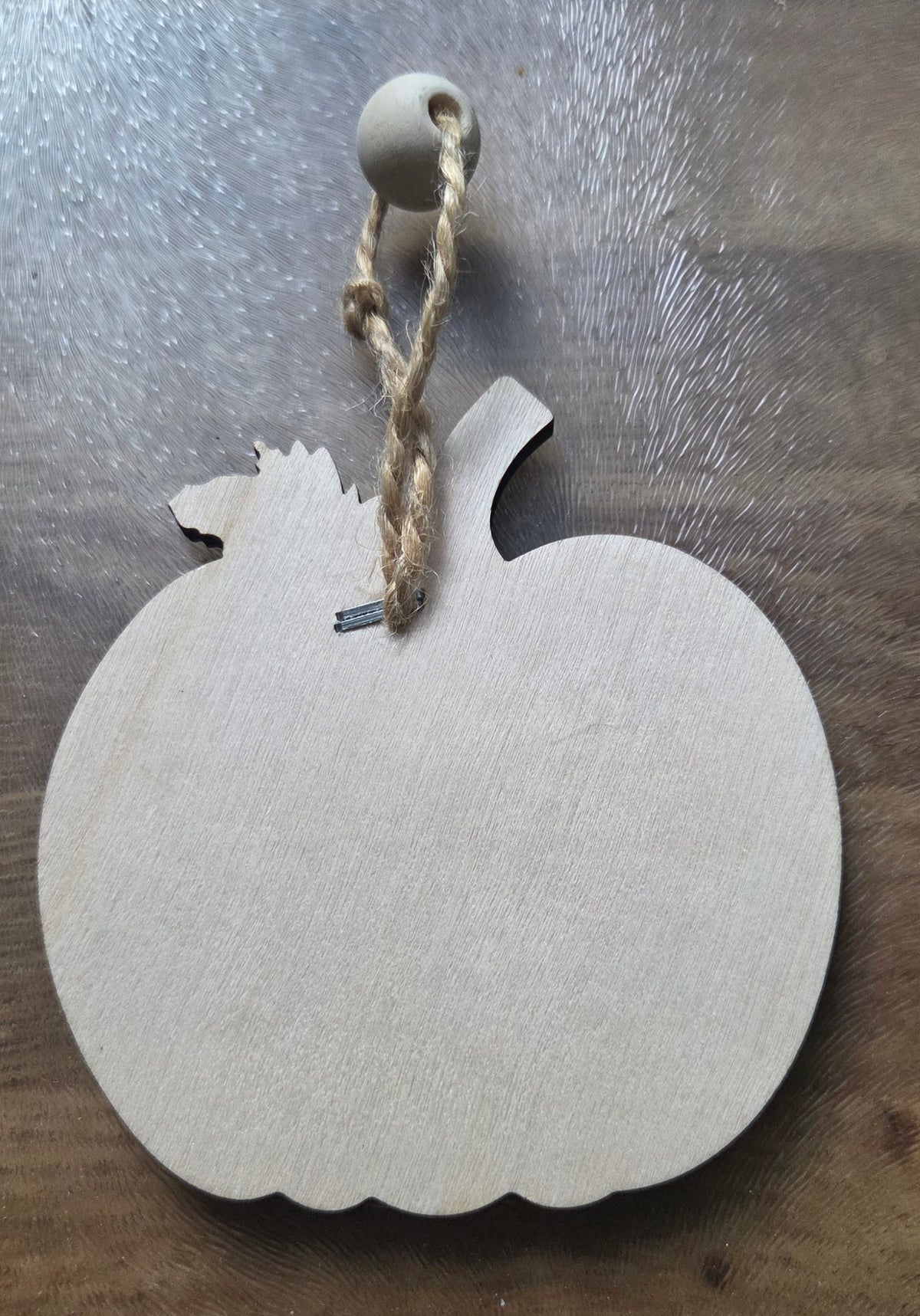 Cat and Squirrel 2d Pumpkin Hanging Ornaments