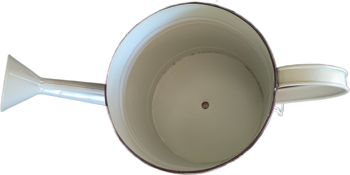 Fun Metal Watering Can Planter