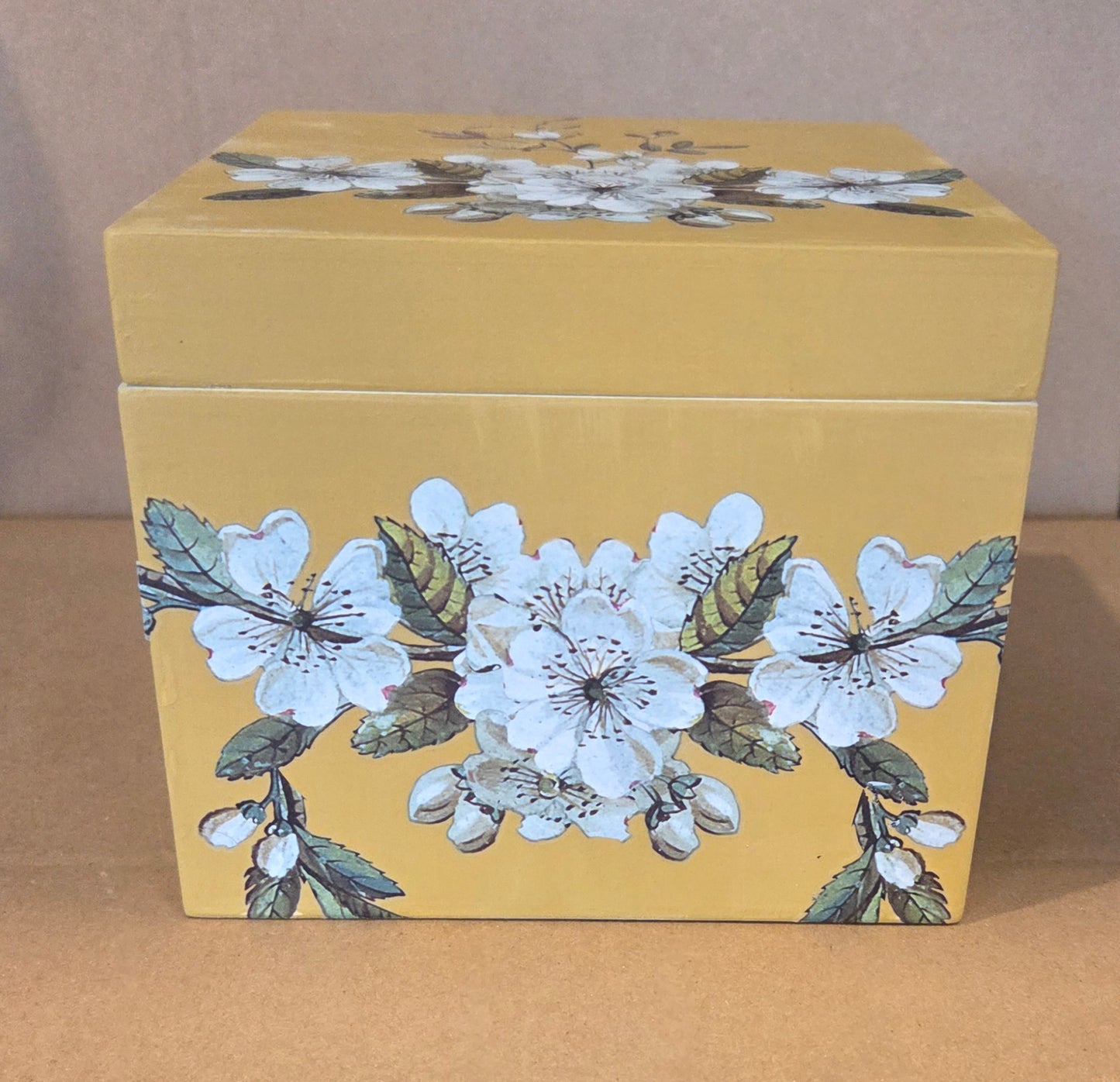 Hinged Small Storage Box