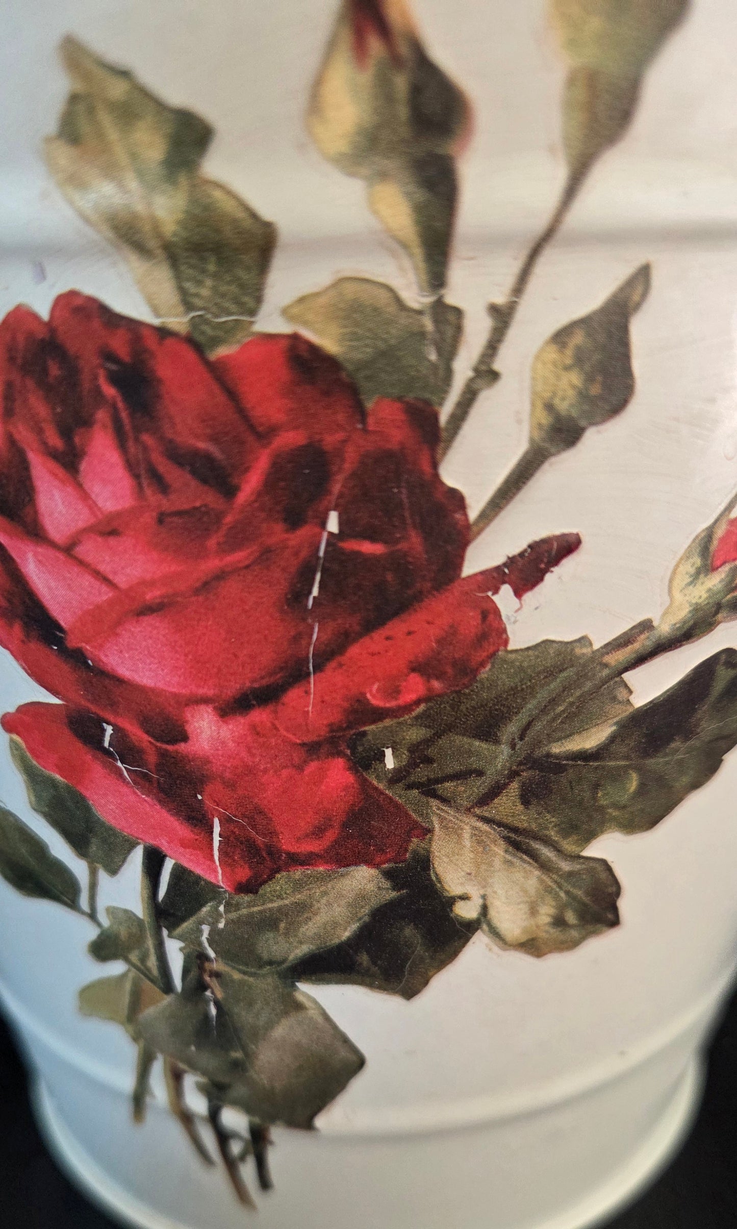 Unique Rose Bucket Planter