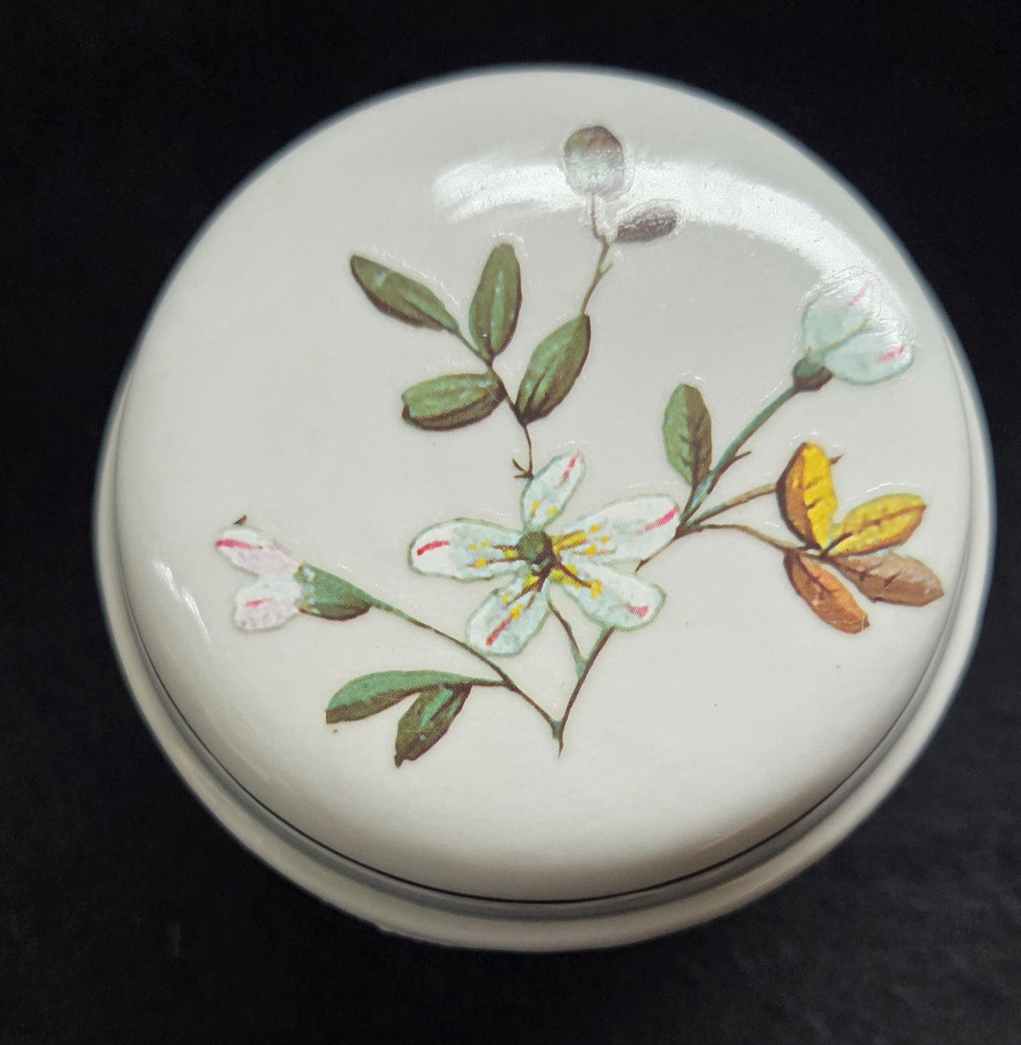 Three Unique Small Botanical Pot with lid - sold seperately