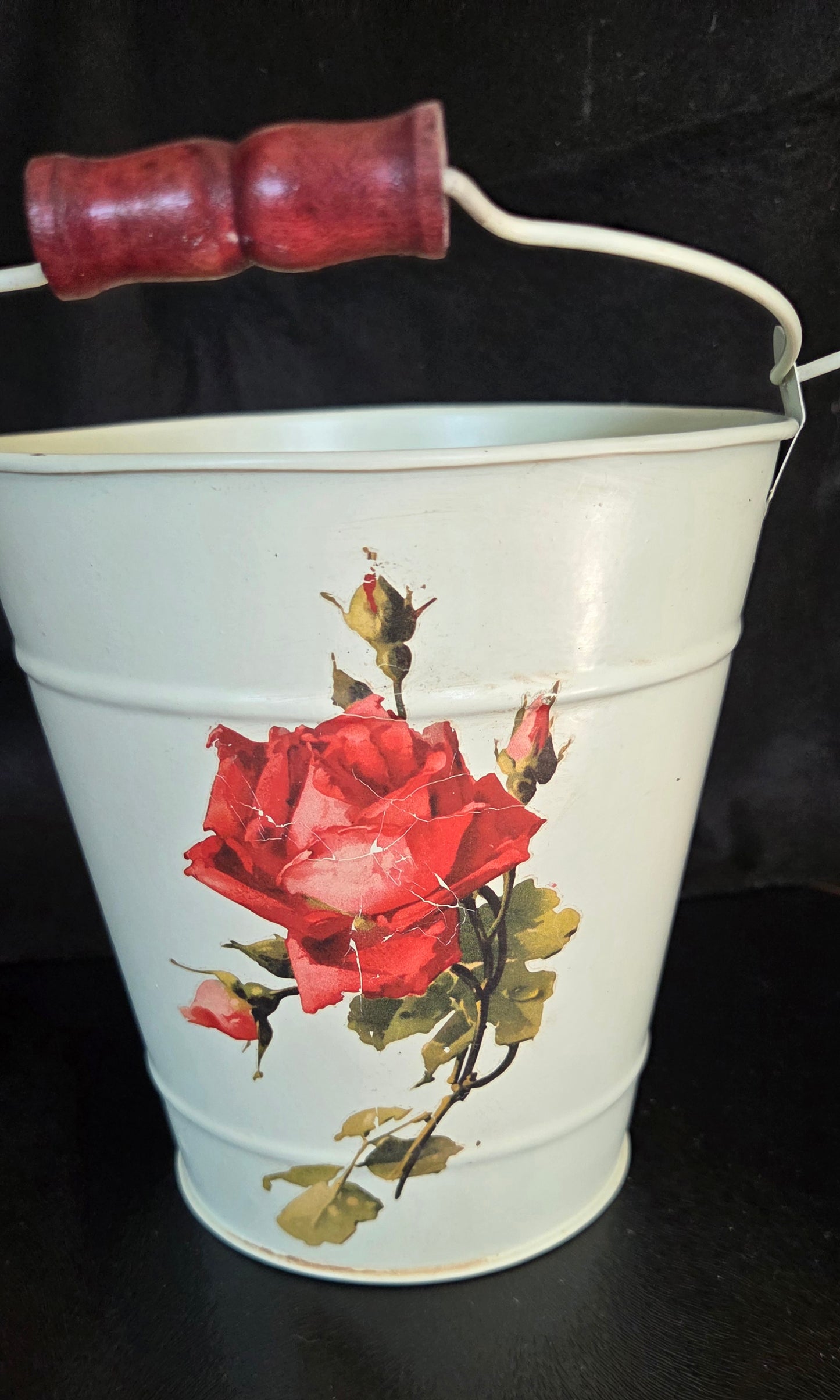 Unique Rose Bucket Planter