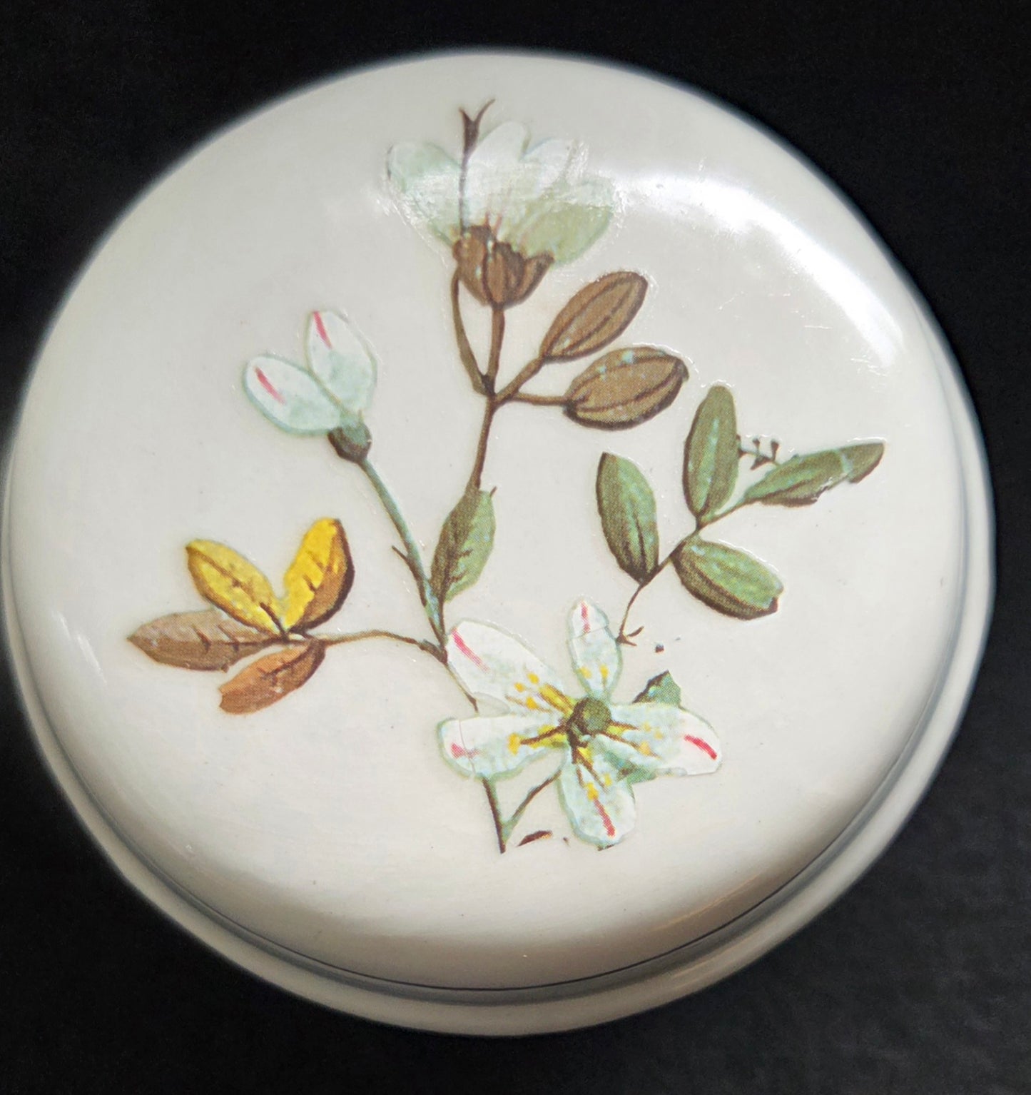 Three Unique Small Botanical Pot with lid - sold seperately