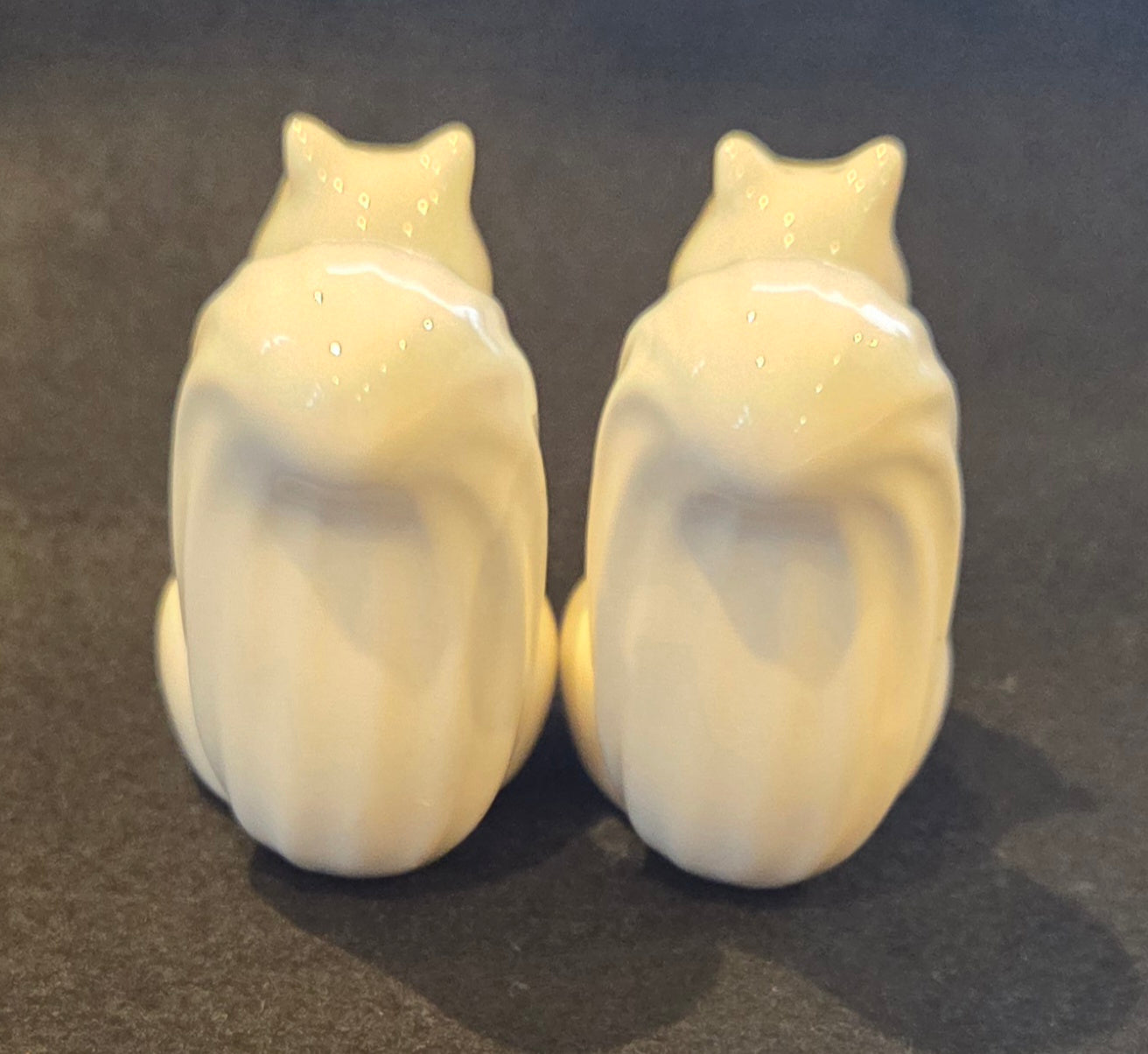 White Squirrel Salt and Pepper Shakers