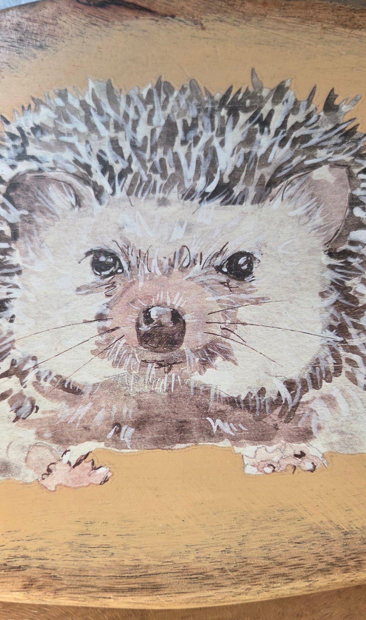 Wooden Distressed Hedgehog Trivet