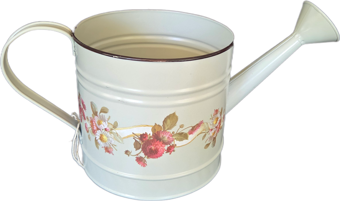 Fun Metal Watering Can Planter