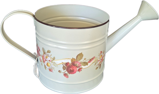 Fun Metal Watering Can Planter