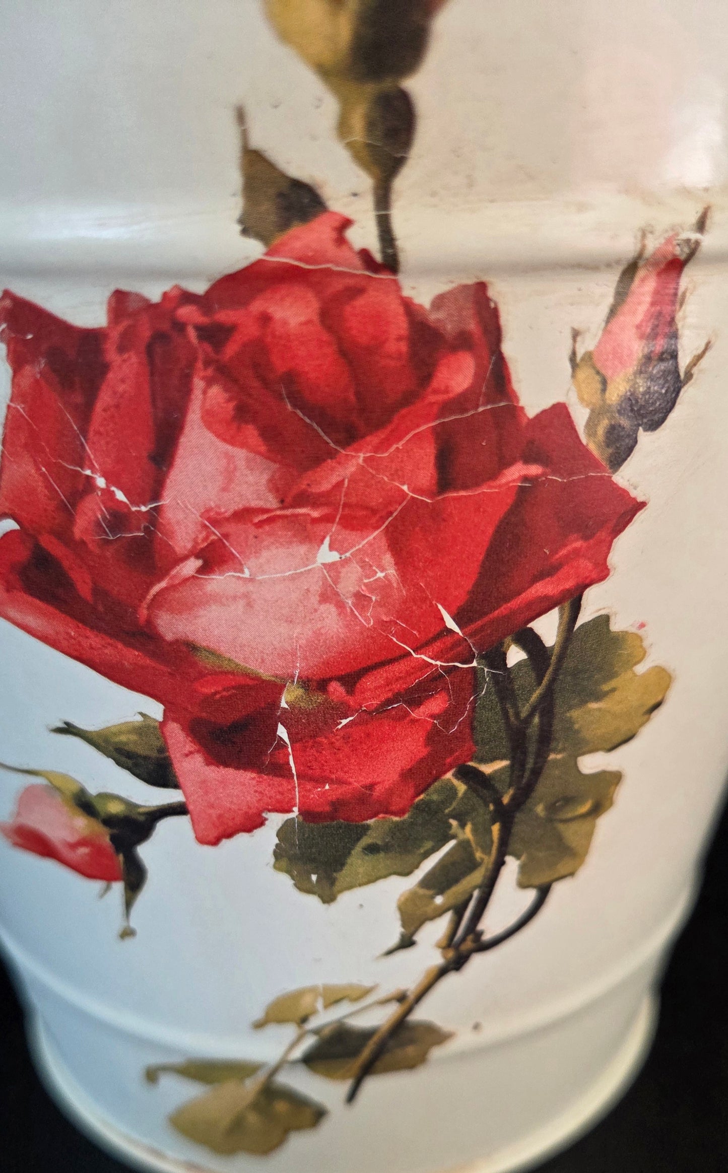 Unique Rose Bucket Planter