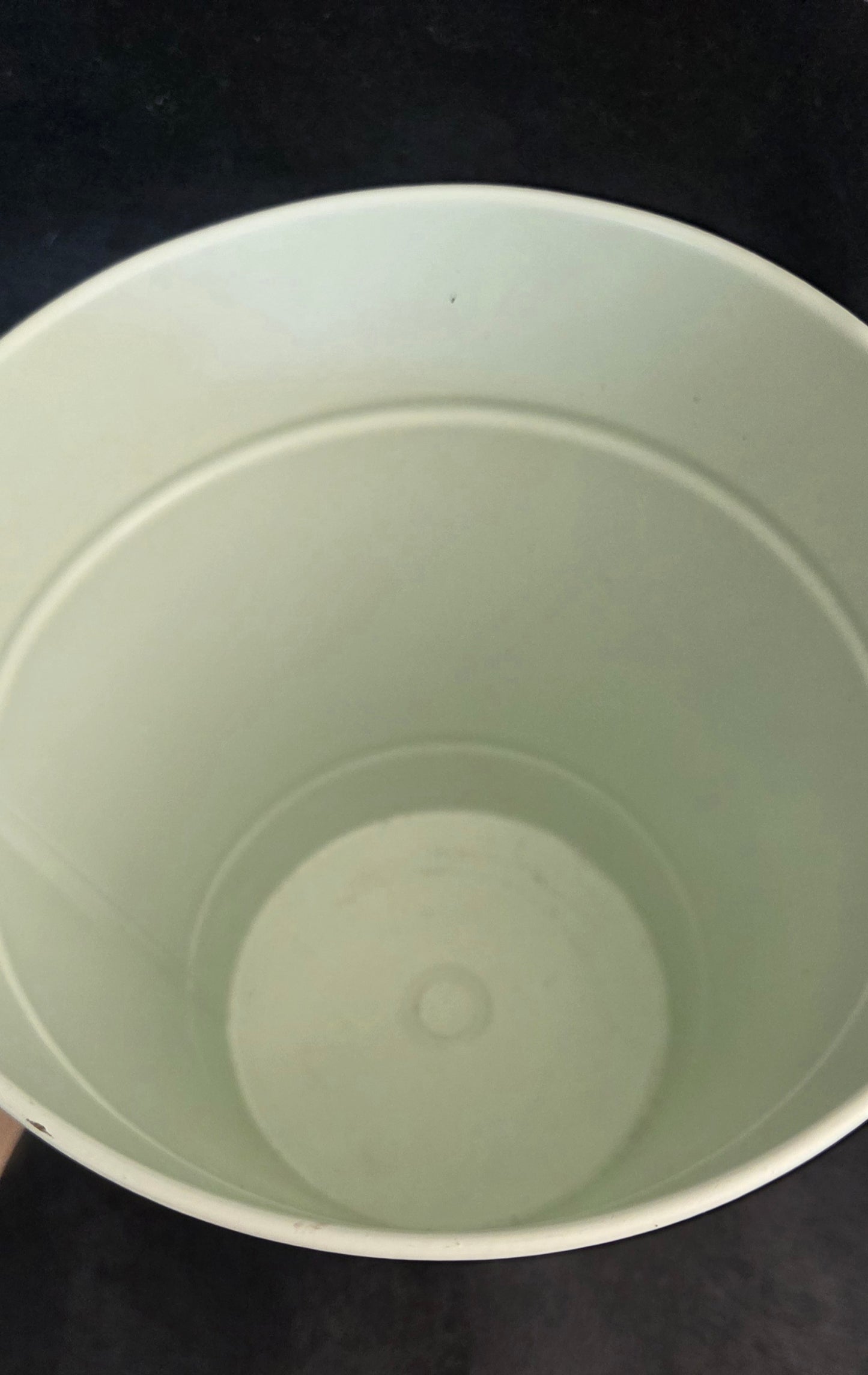 Unique Rose Bucket Planter