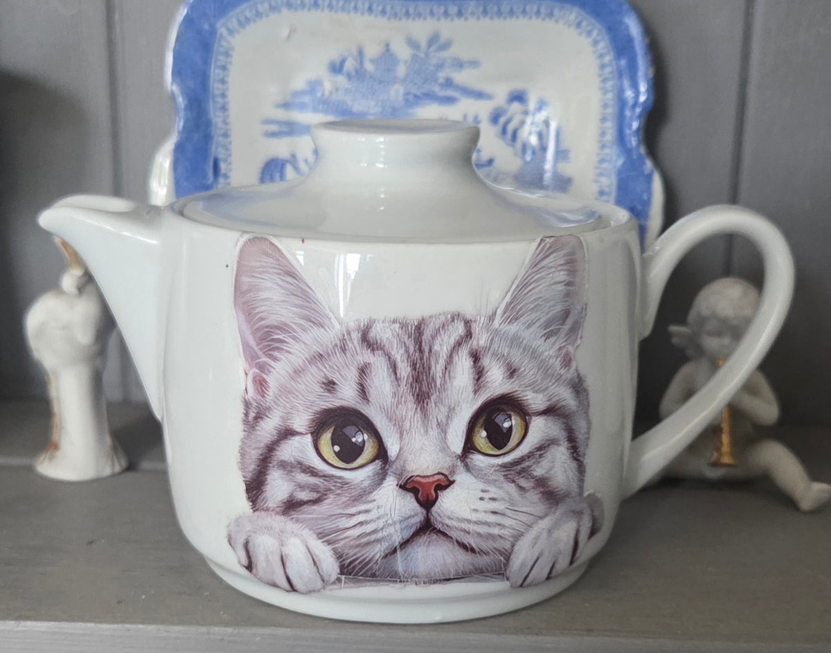 Tea for One Teapot Featuring Adorable Kittens