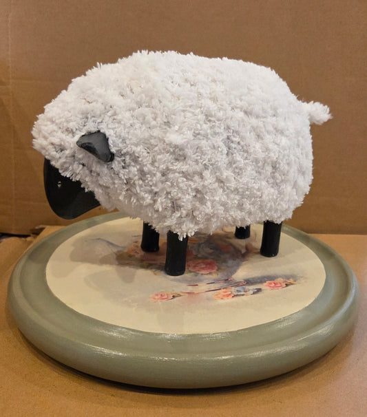 Solitary Sheep