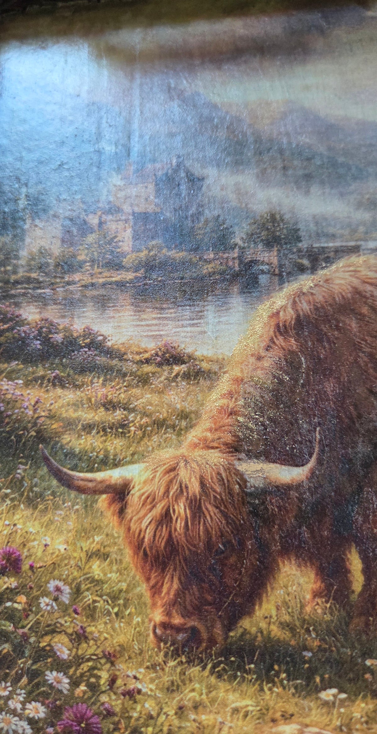 Wooden Tray with Handles Featuring an Highland Cow