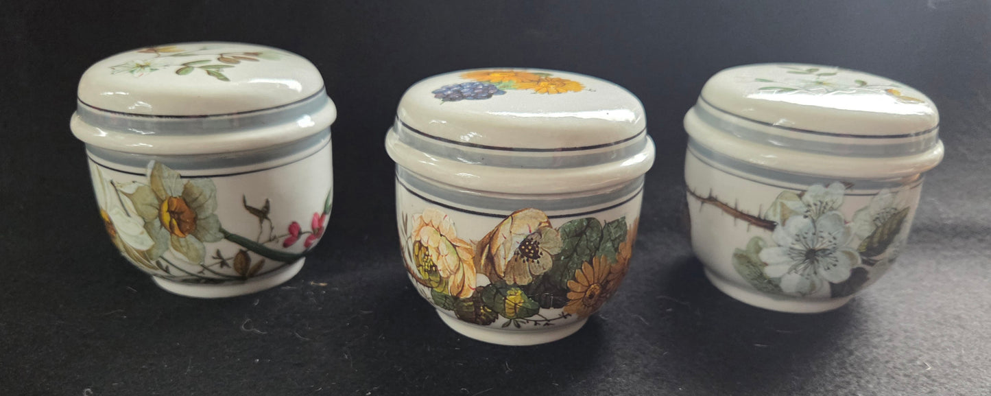 Three Unique Small Botanical Pot with lid - sold seperately