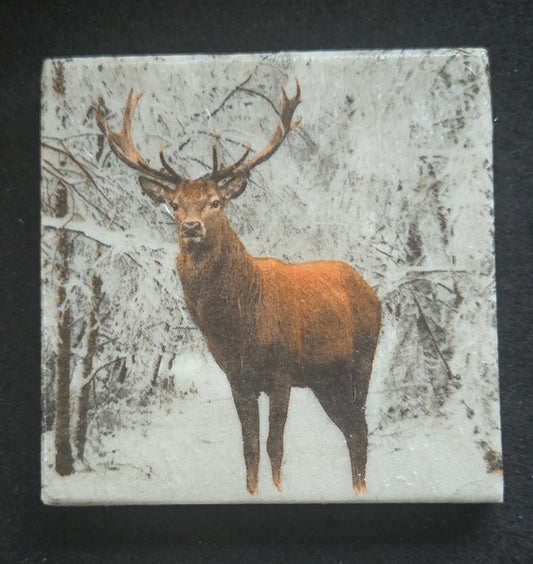 Marble Winter Themed Coasters. Three Designs Available - Sold Separately or As Set.