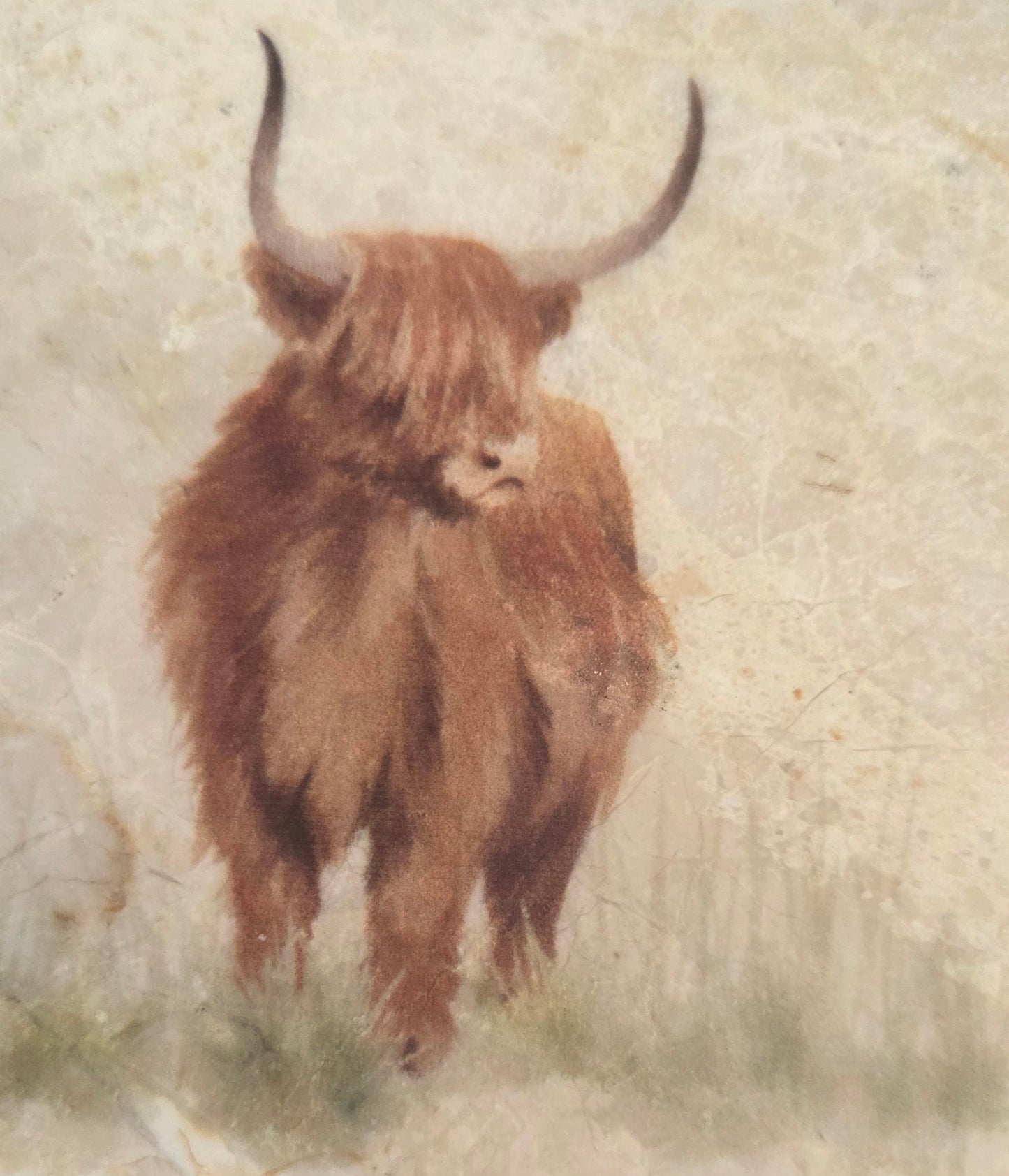 Stone 10cm Highland Cow Coasters. Purchase separately or as a pair