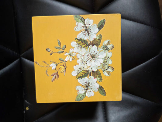 Hinged Small Storage Box