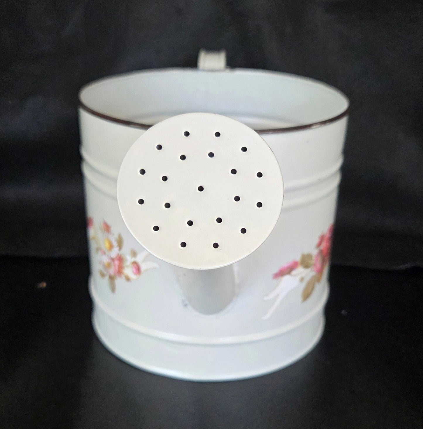 Fun Metal Watering Can Planter