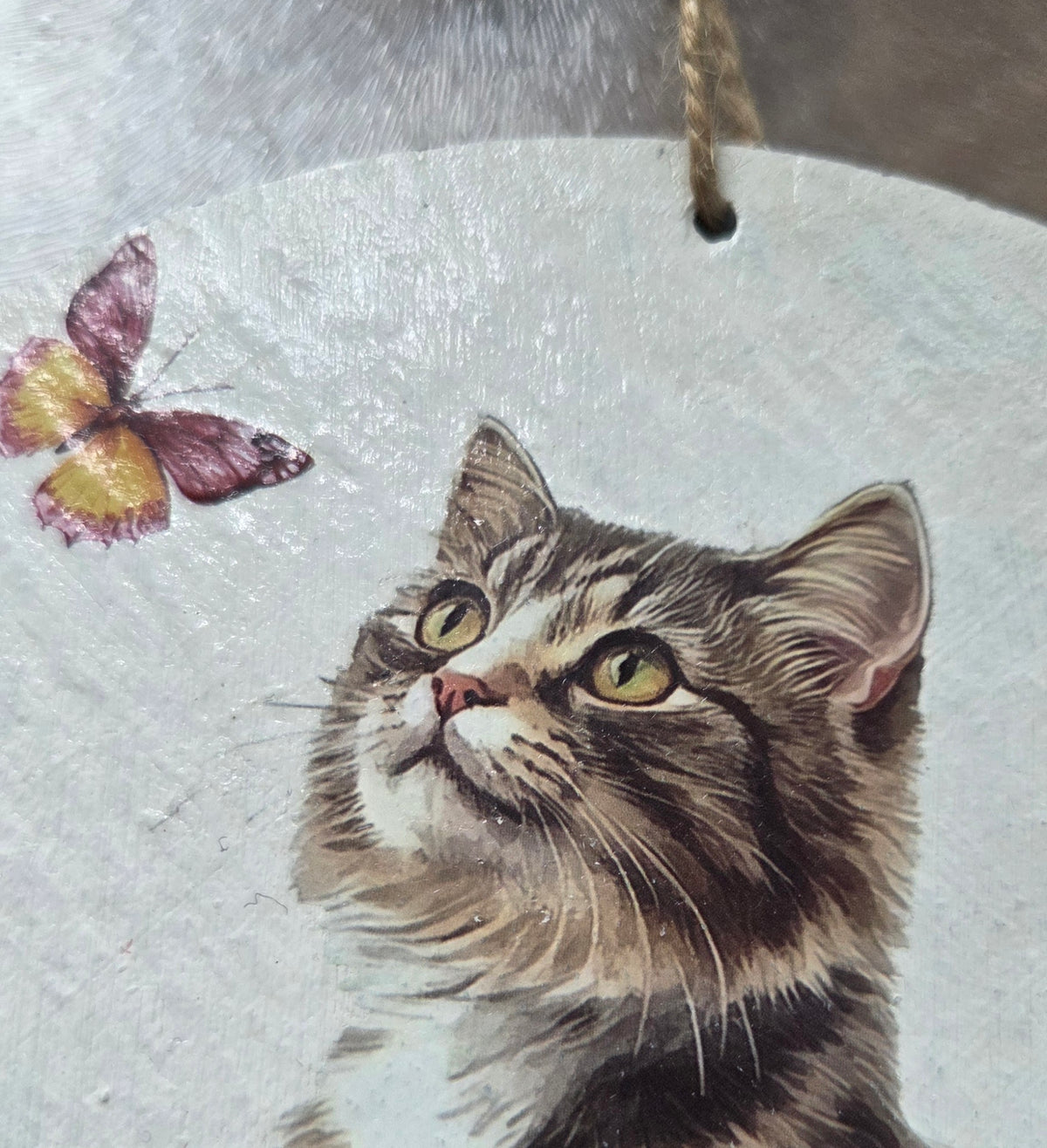 Lovely Kitten and butterfly handing slate.