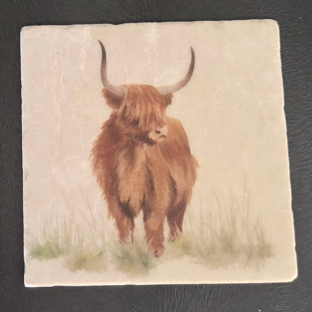 Stone 10cm Highland Cow Coasters. Purchase separately or as a pair